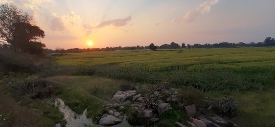 Khajuraho field